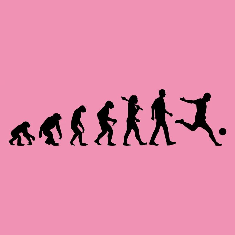 Evolution of Soccer