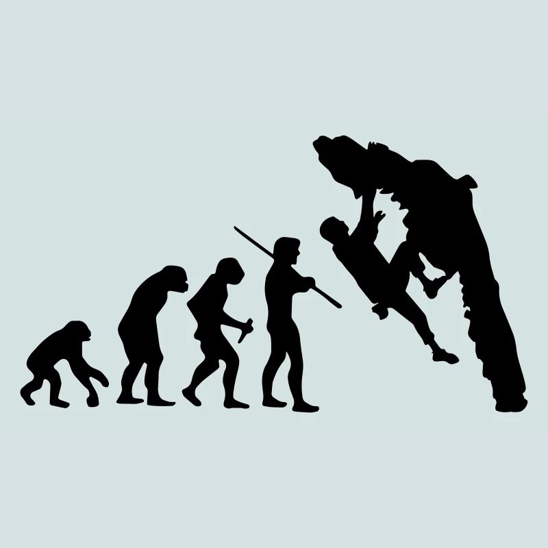 Boulder Evolution