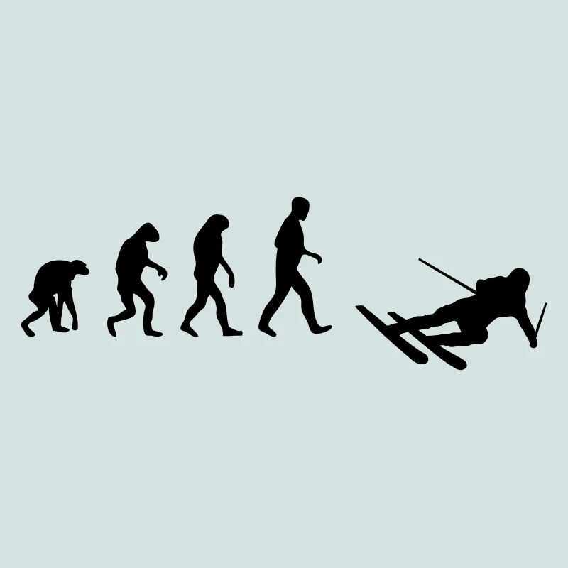 ski evolution