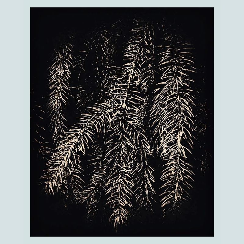 Pines Black