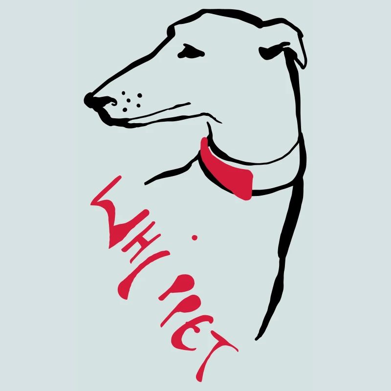 Whippet