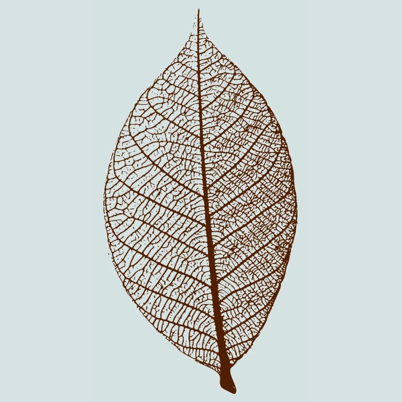 leaf tree forest skeleton pattern nerve love heart