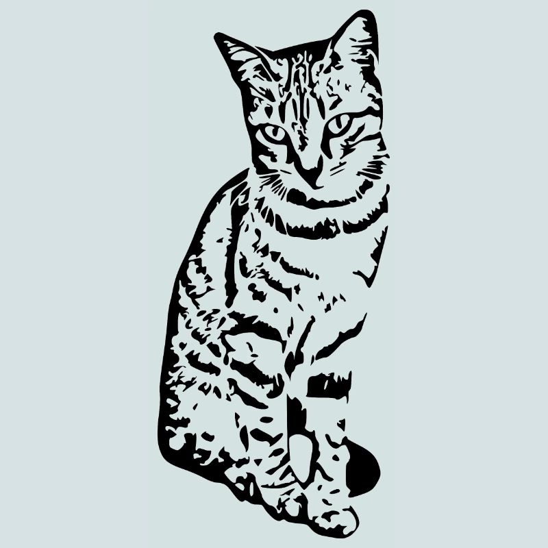 Chat Chaton Tigre Chat Chat Chat Cadeau