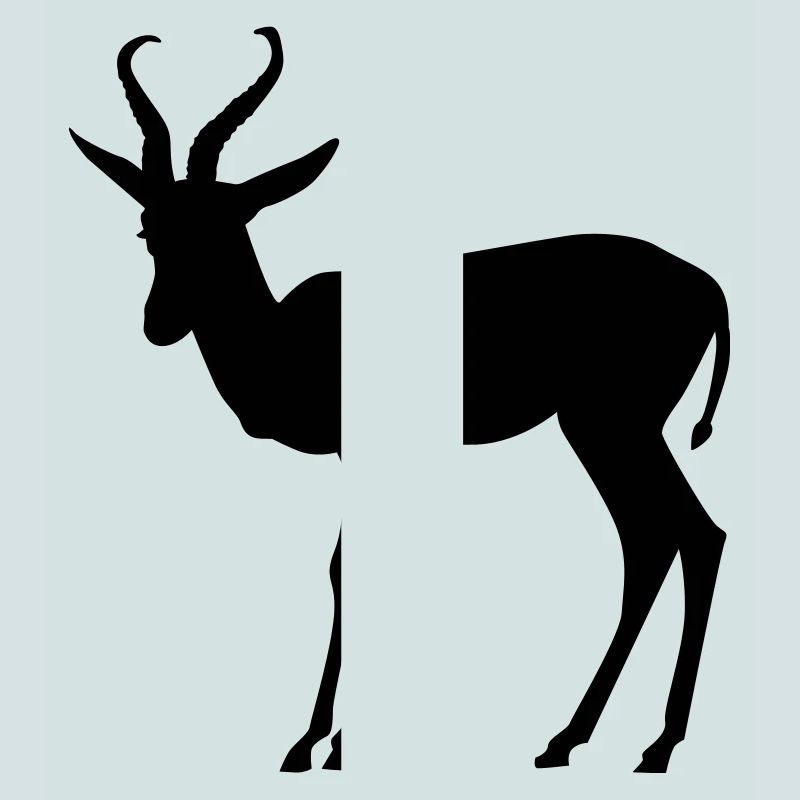 Springbock