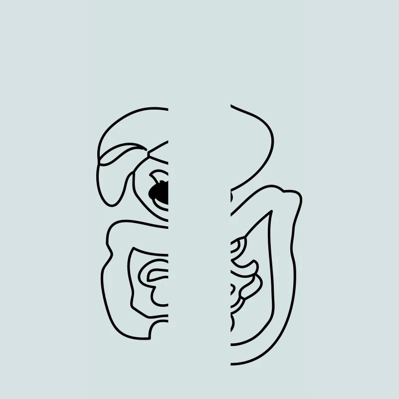 Digestive System
