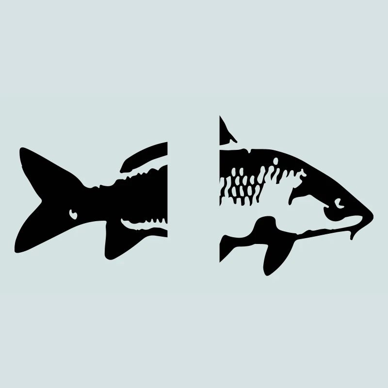 carp fish