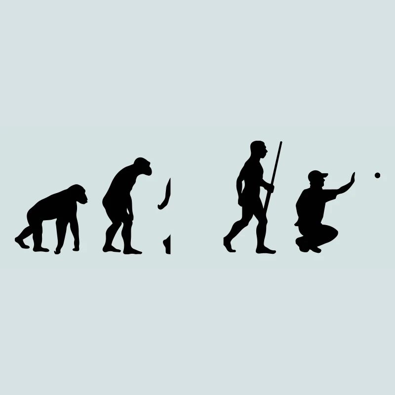 Pétanque Boule Evolution