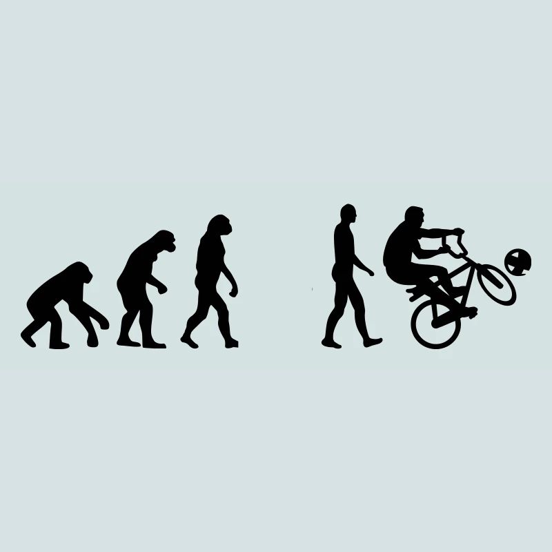 Evolution Cycle ball