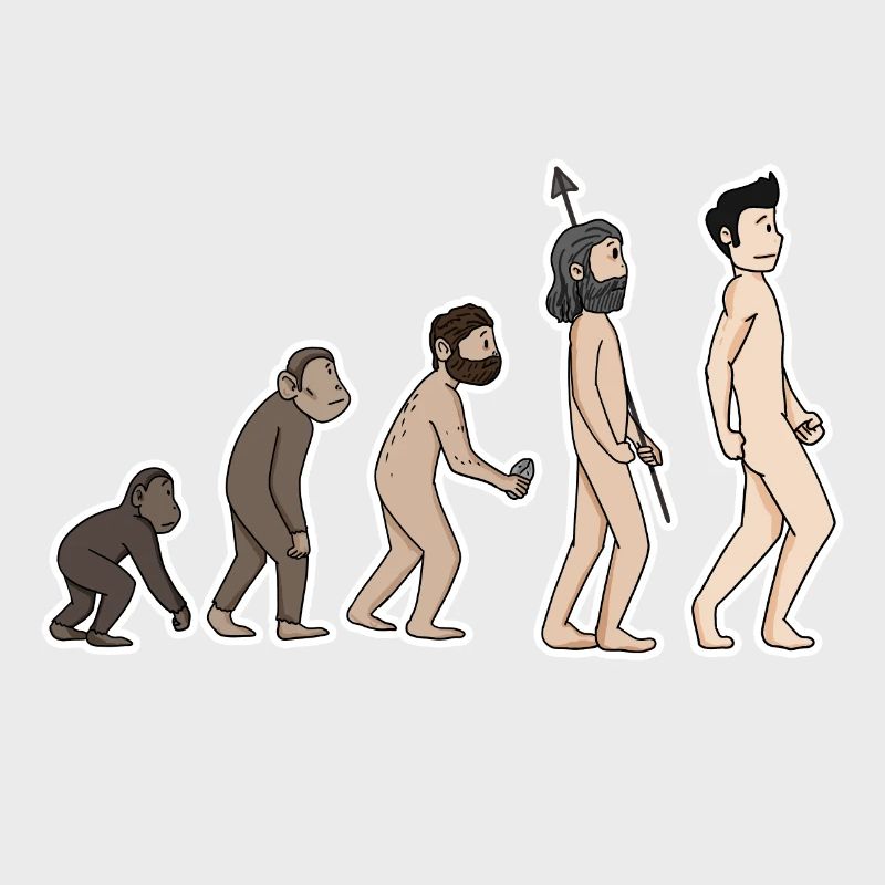 évolution