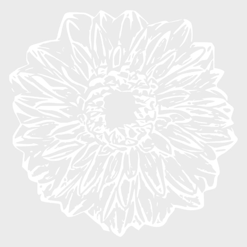 Fleur, Blanc, Fleur Blanche