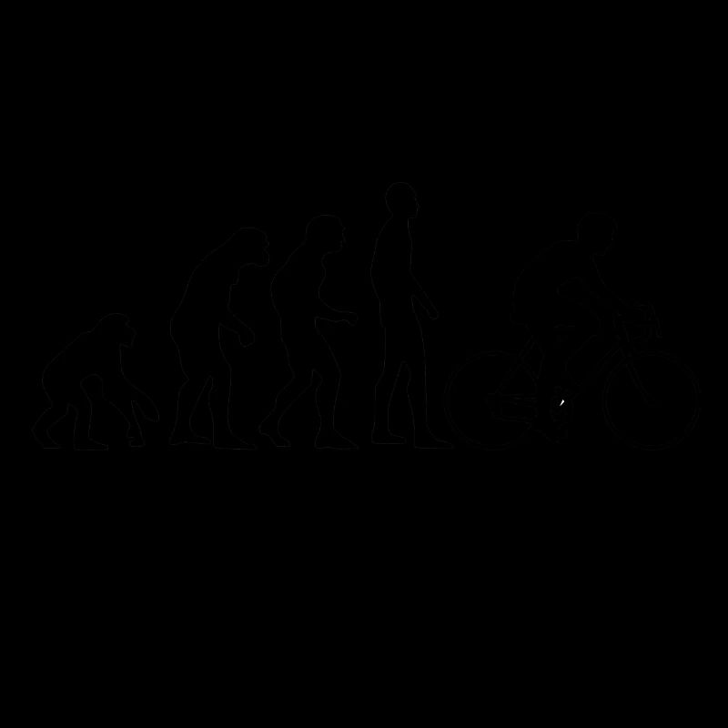 Human Evolution Rennrad
