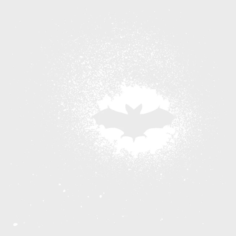 Fledermaus
