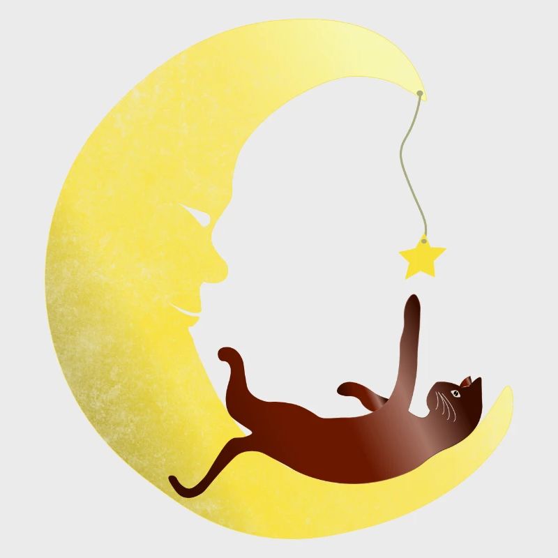Chat joue dans la lune avec une étoile
