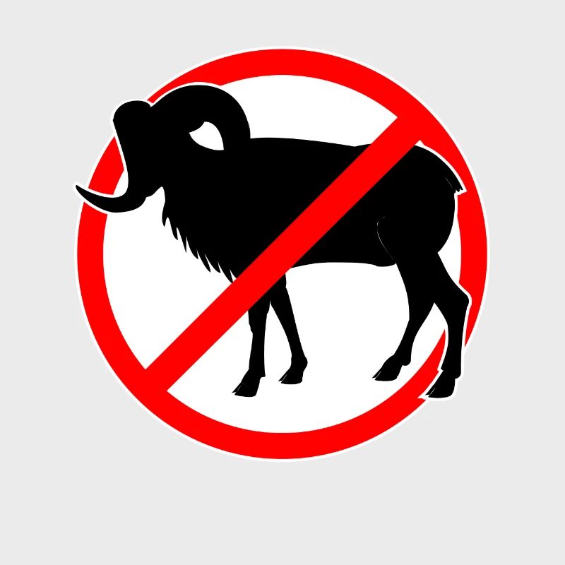 Ziegen oder Mufflons verboten - Ziege