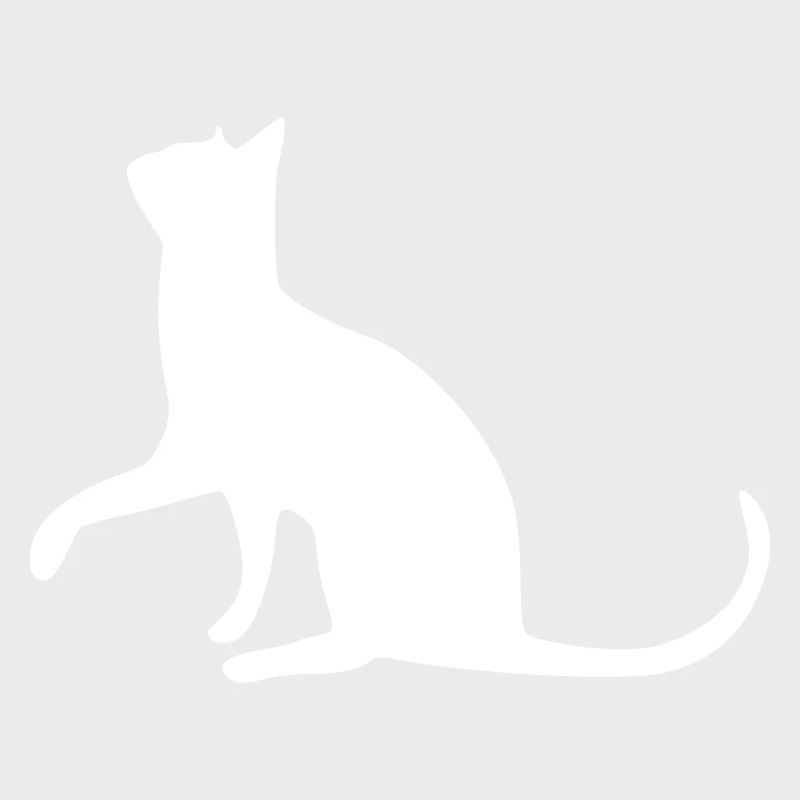 Chat chat chat chat chatte minette minou minou patte
