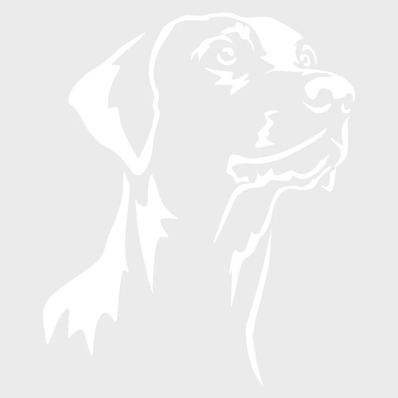 Doberman Head "Black Edition"