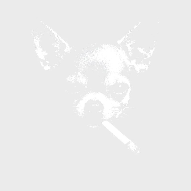Chihuahua Noir mit Zigarette