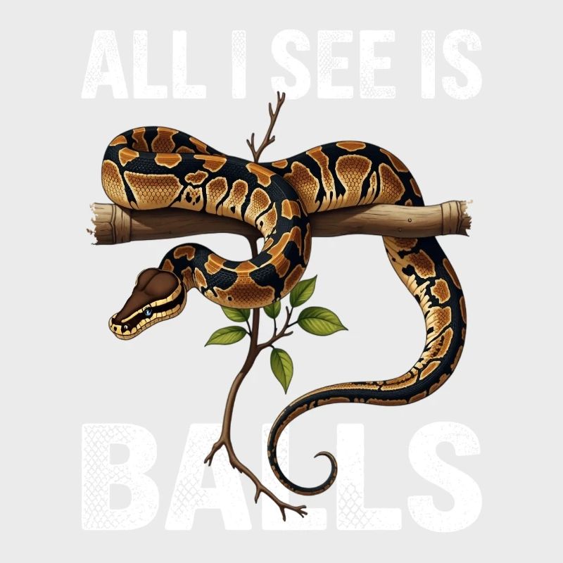 Python roi Serpents Amateurs de terrarium Python