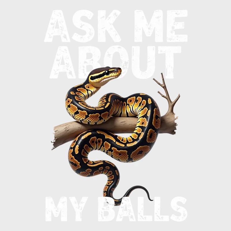 Python roi Serpents Amateurs de terrarium Python