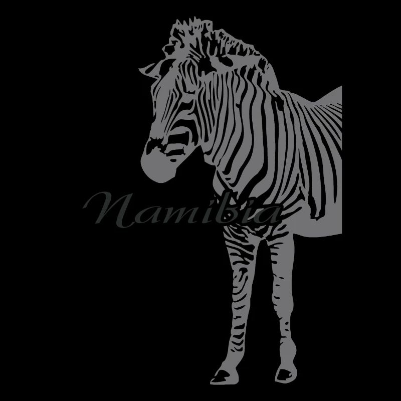 Namibia - Zebra