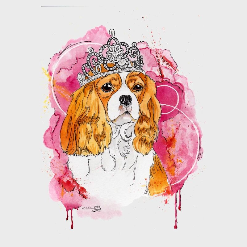 Cavalier KC Spaniel Bella