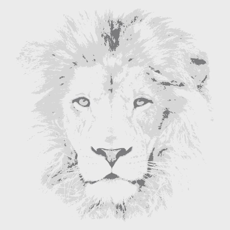 LÖWE HEAD