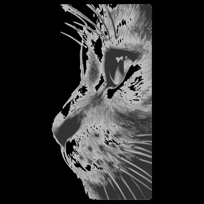 Visage du chat
