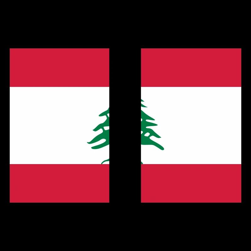 Drapeau national du Liban