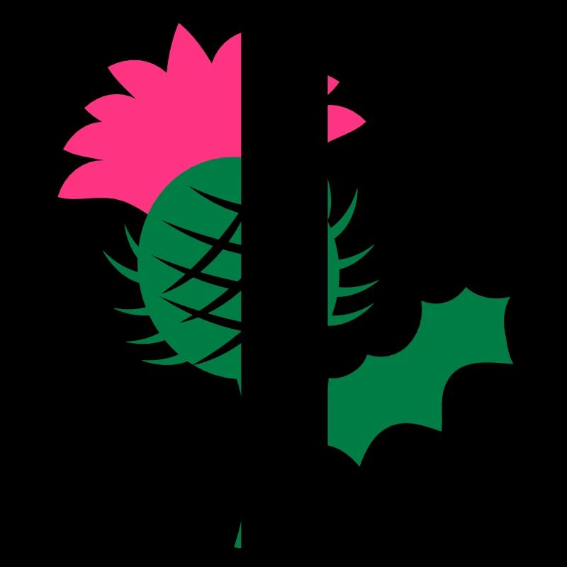 Einzel Kopf Blume der schottischen Distel
