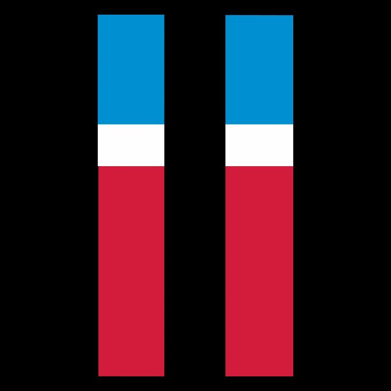Alte Saarlandfahne