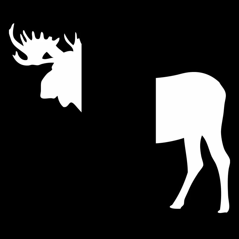 Elch - Moose - Elk