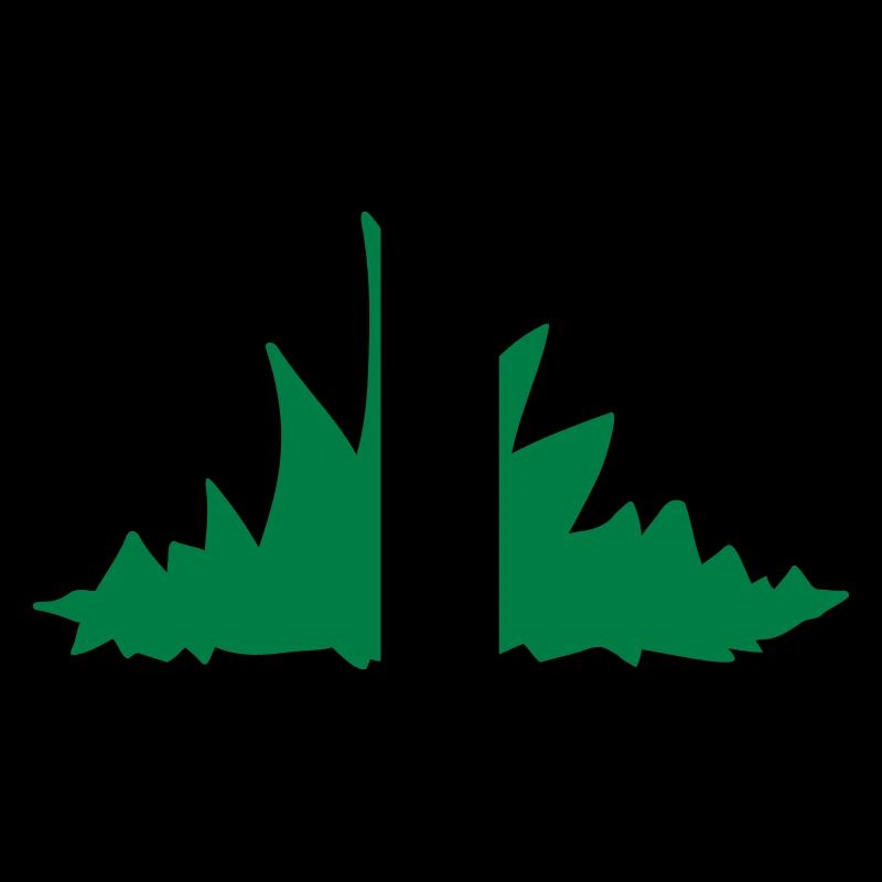Gras
