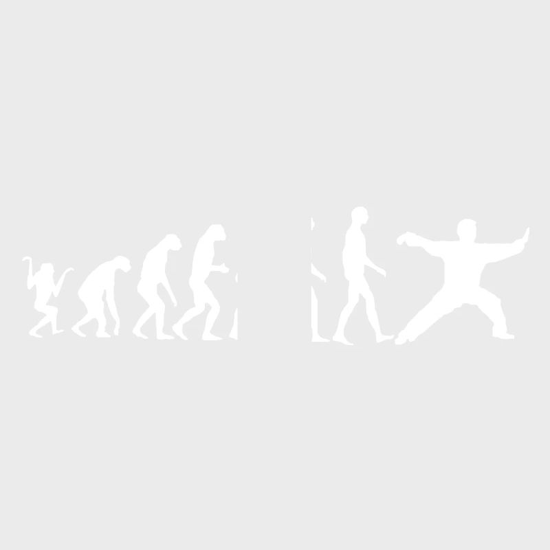 Taijiquan Chen-Style Evolution