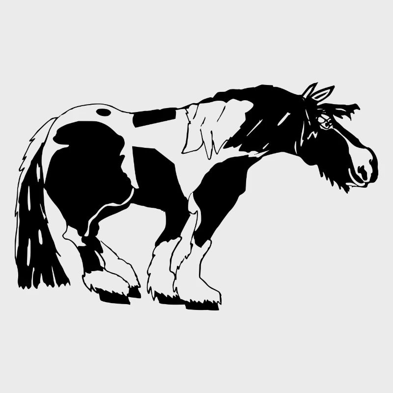 witziger Tinker , Tinker Schecke, Tinker reiten