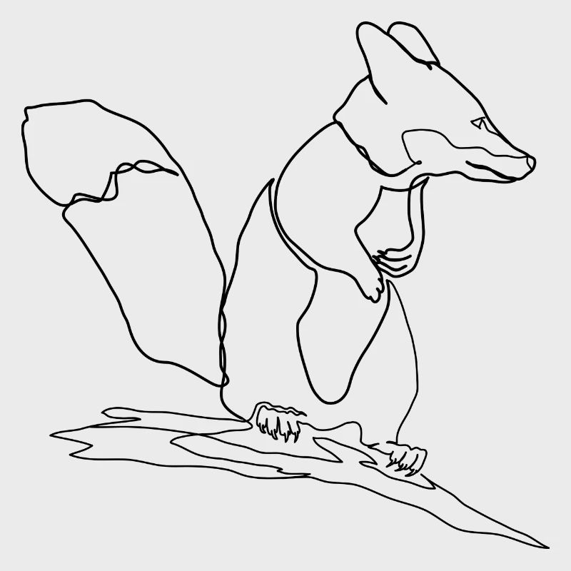 Fuchs Eichhörnchen Squirrel Fox