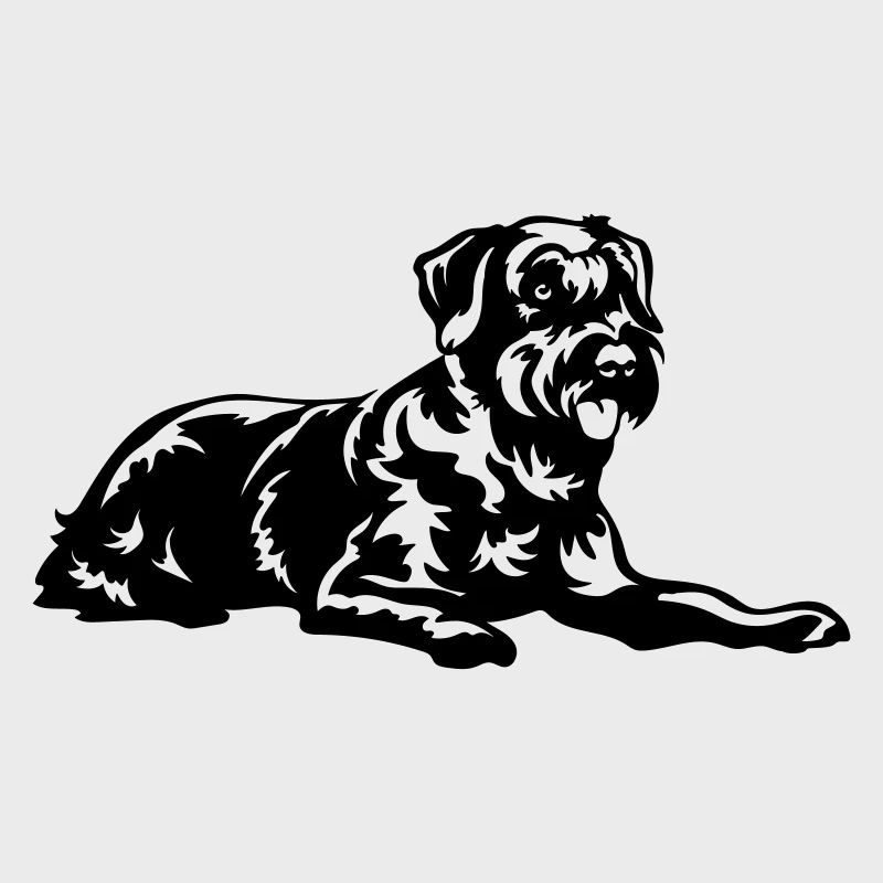 Schnauzer géant