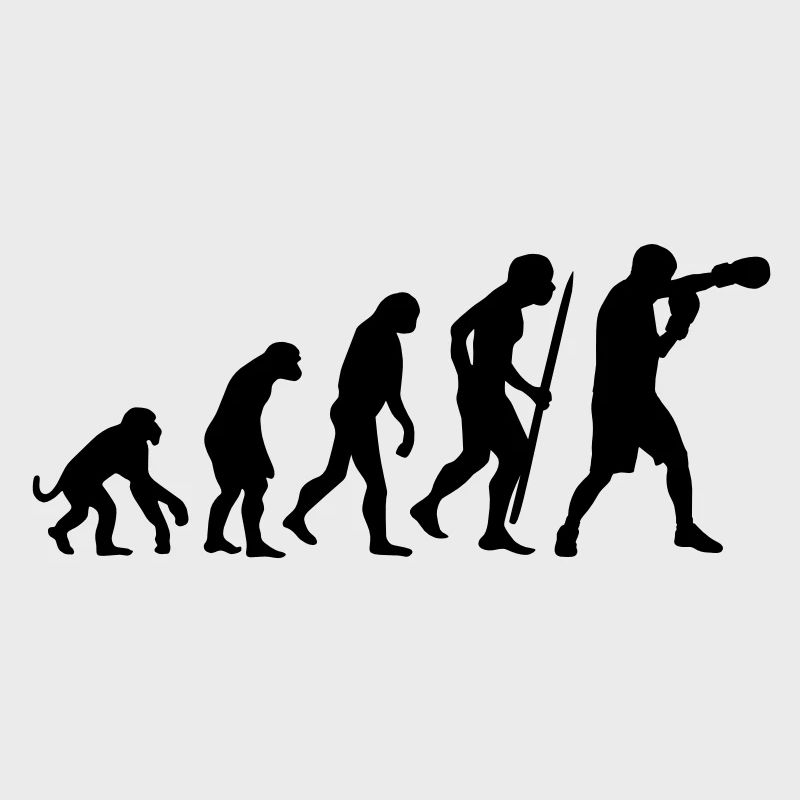 Evolution de la boxe
