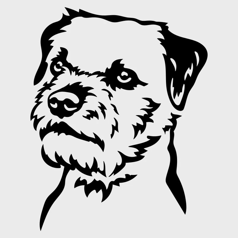Border Terrier Kopf