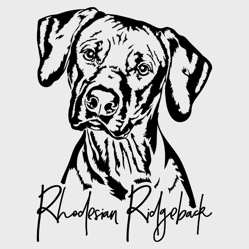 RHODESIAN RIDGEBACK Hunde Portrait Wilsigns