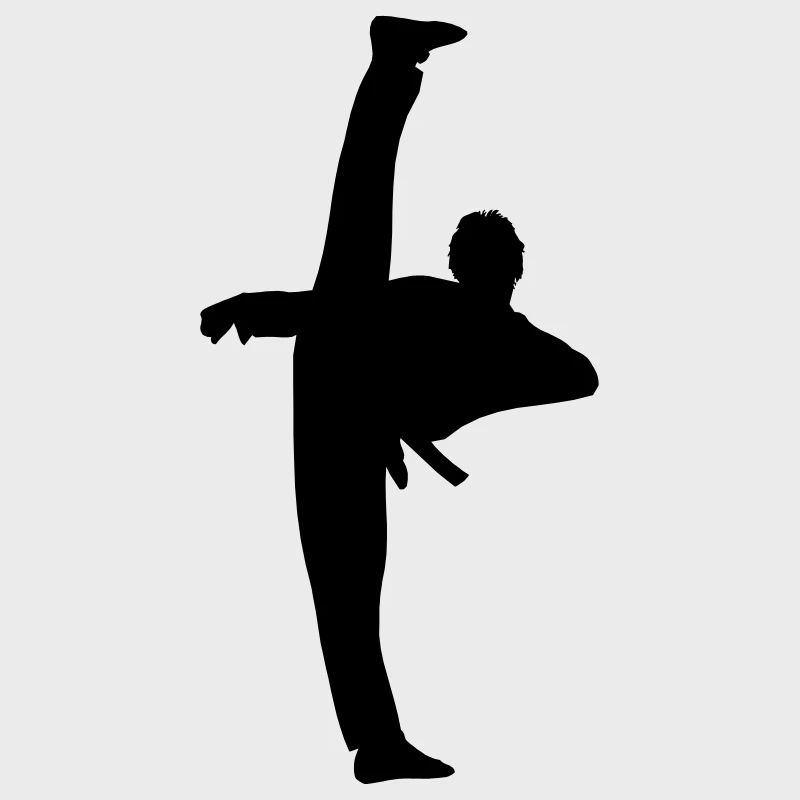 High Kick von Taekwondo oder Karate Schattenfigur