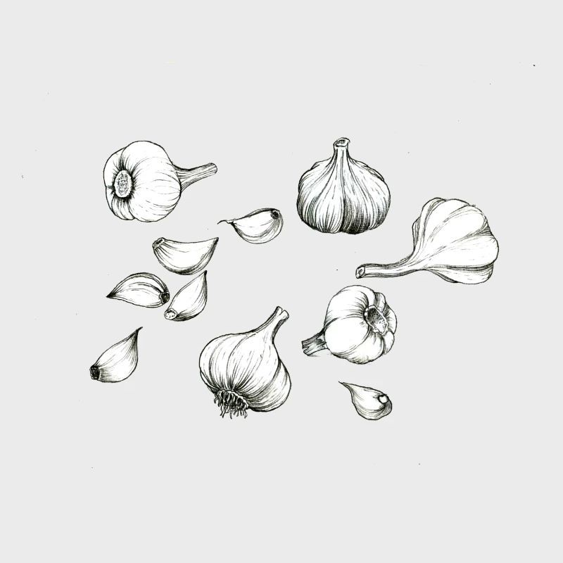 Knoblauch