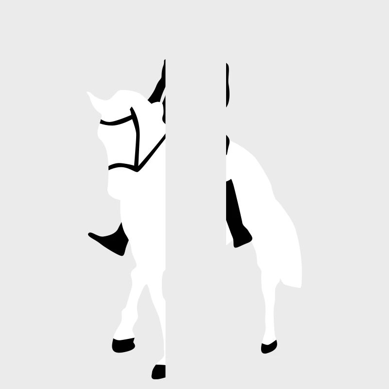 Dressurreiter