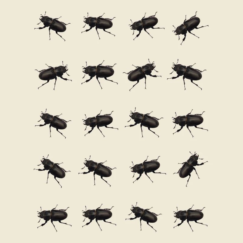 Stag Pattern