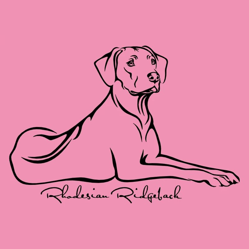 Rhodesian Ridgeback liegend mit Ridge