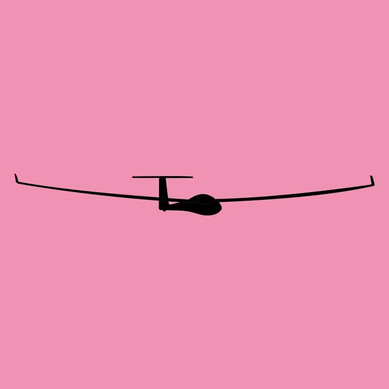 soaring pilot
