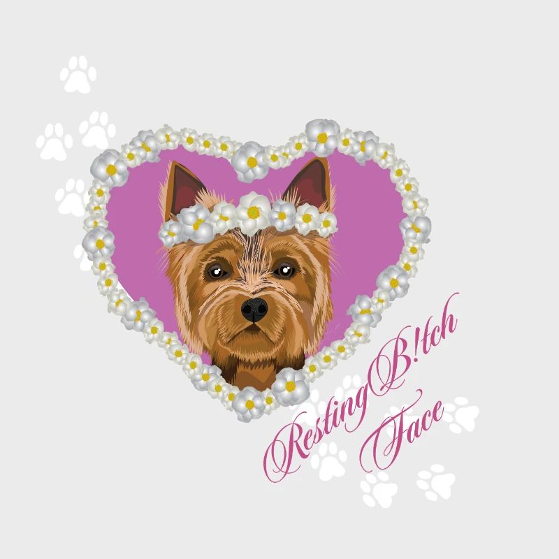 Ruhender Tch-Face Yorksire Terrier