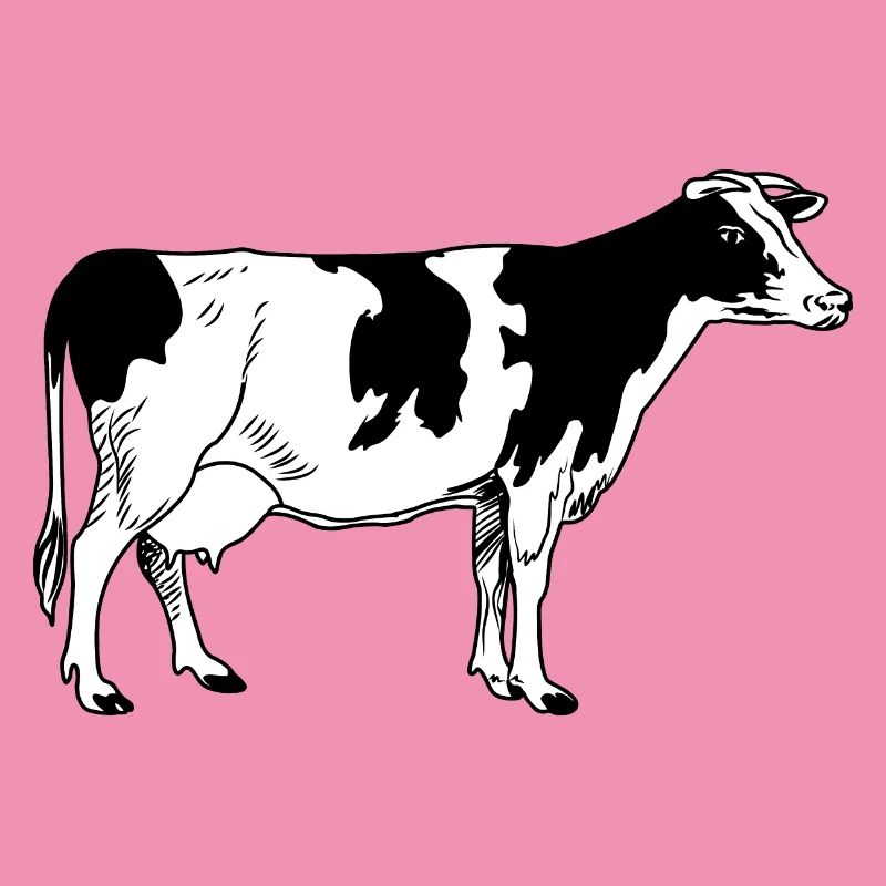 cow image looks after front