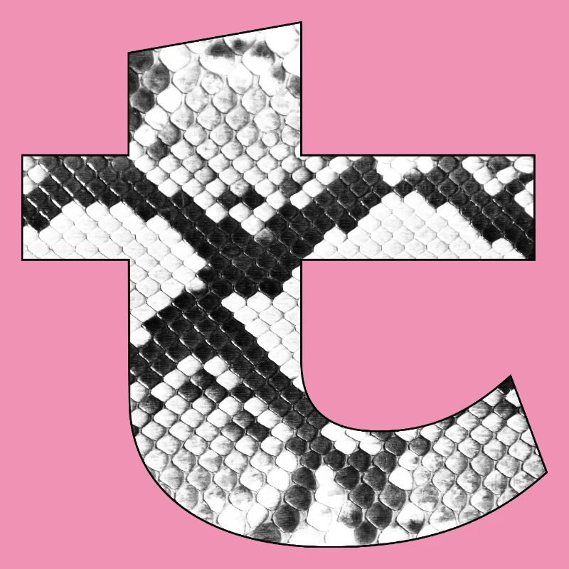 Snake Skin Pattern Letter T