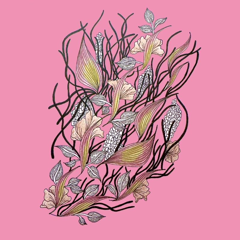 Réseaux floraux de ranoncule