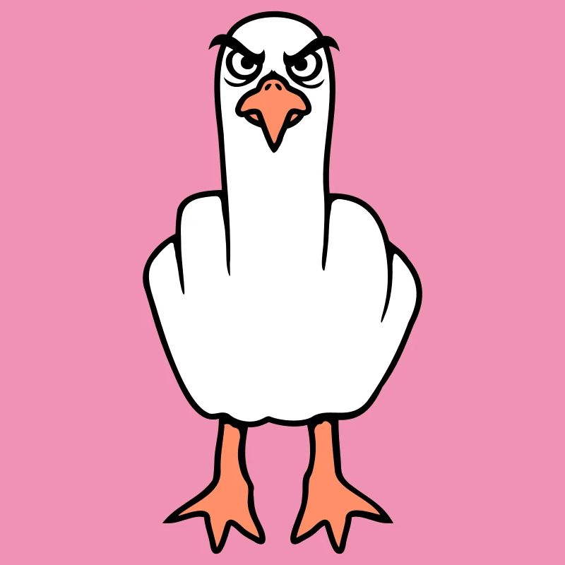 Möwe Mittelfinger Beleidigung Stinkefinger frech